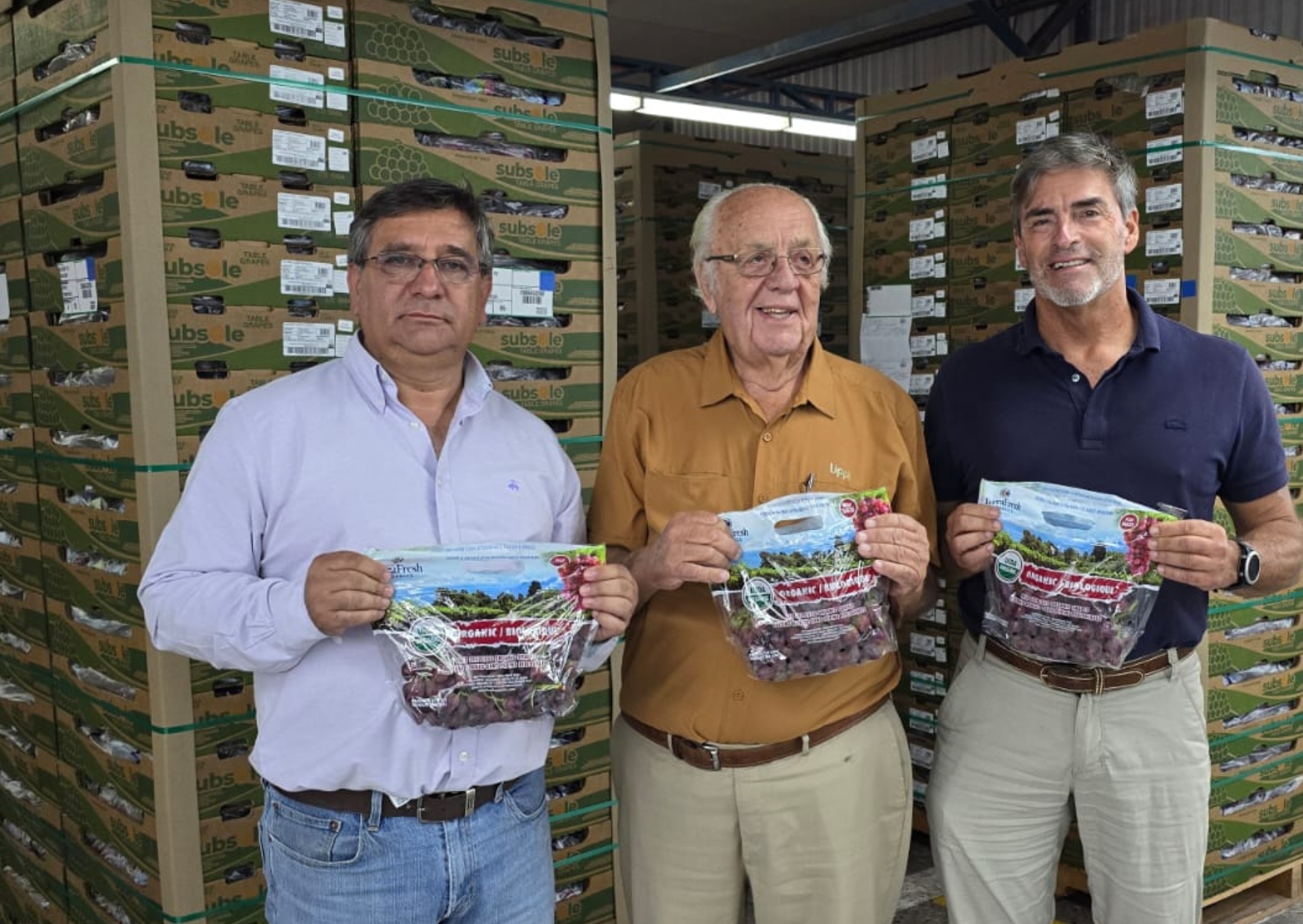 Histórico envío de uvas orgánicas a Estados Unidos marca un hito en la ...